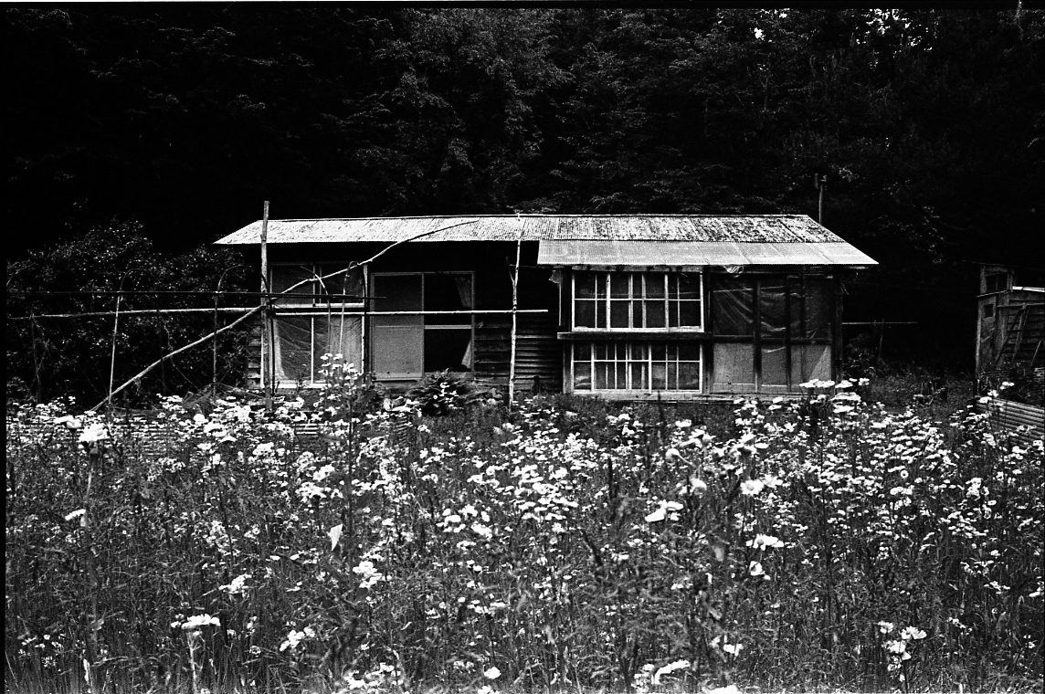 ウルトラトリップ　超レア　ヒッピー　古書　古本 古書 ］ウルトラマン 昭和42年＜現代コミクス7月号＞ 本誌のみ』 販売